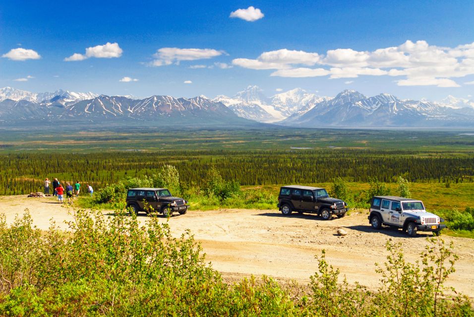 Denali: Highway Jeep Excursion - Review Summary