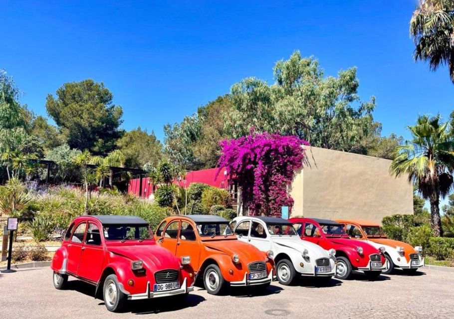 Discovery of Provence in a 2CV - Reservation and Participation Guidelines