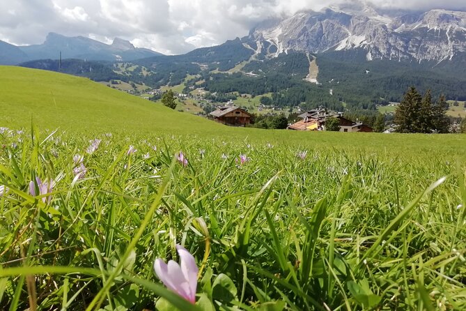 Dolomites and Cortina Dampezzo Day Trip From Venice - Seasonal Considerations