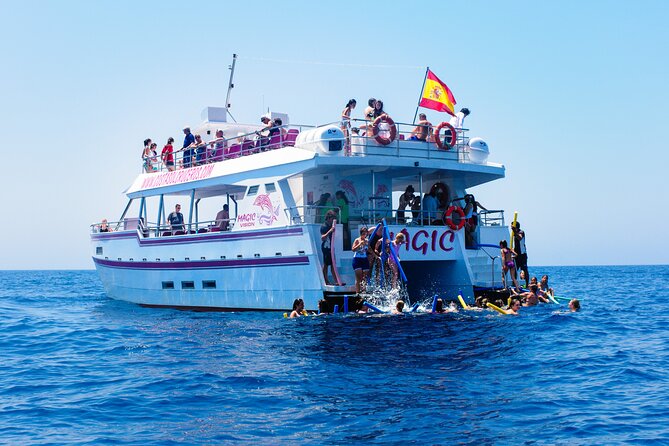 Dolphin Sightseeing Boat Tour From Benalmadena - Meeting Point Information