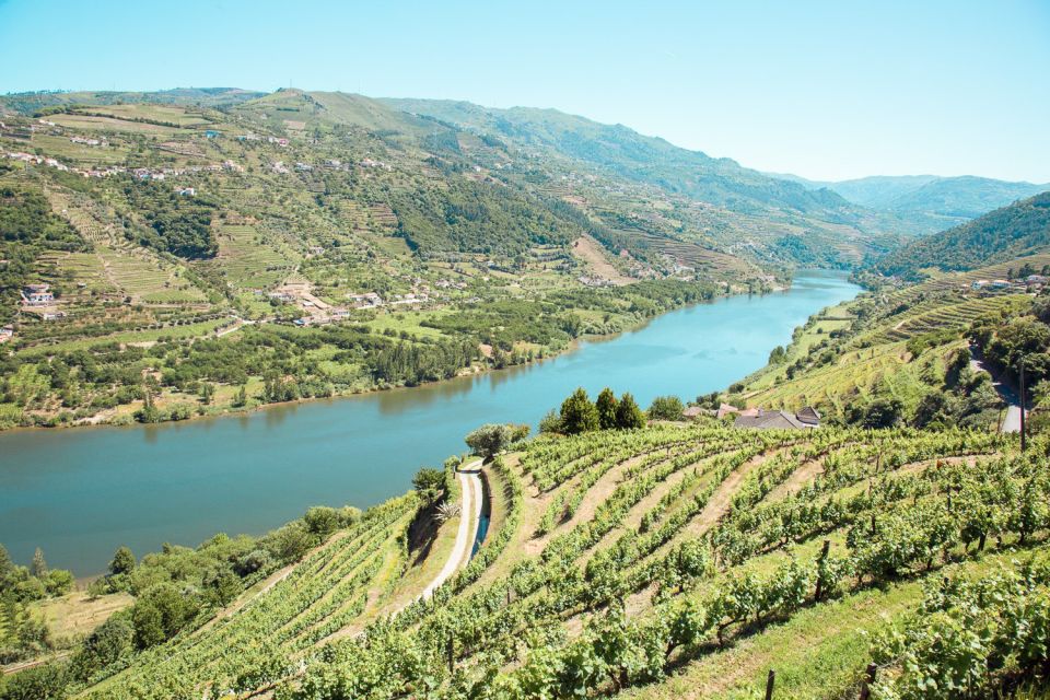 Douro Valley: Small-Group Wine Tasting Tour, Lunch & Boat - Important Information