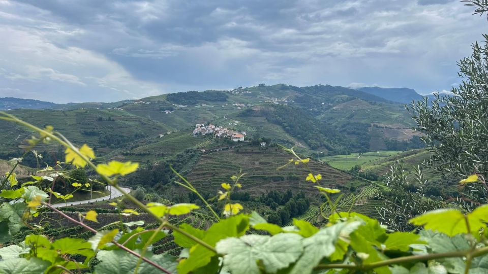 Douro Valley Tour - Whats Not Included