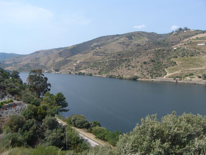 Douro Valley Wine Road Trip, 2 Vineyards Lunch River Cruise - Culinary Delights and Workshop