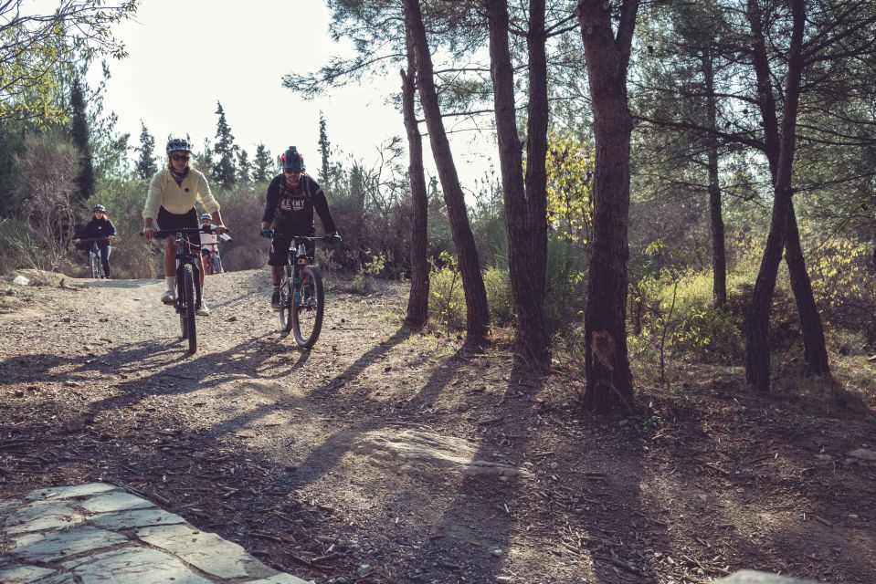 E-Bike Adventure in Thassos Island - Booking Information and Cancellation Policy