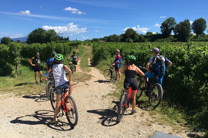 E-Bike Tour and Wine Tasting in Lazise - Guest Experiences