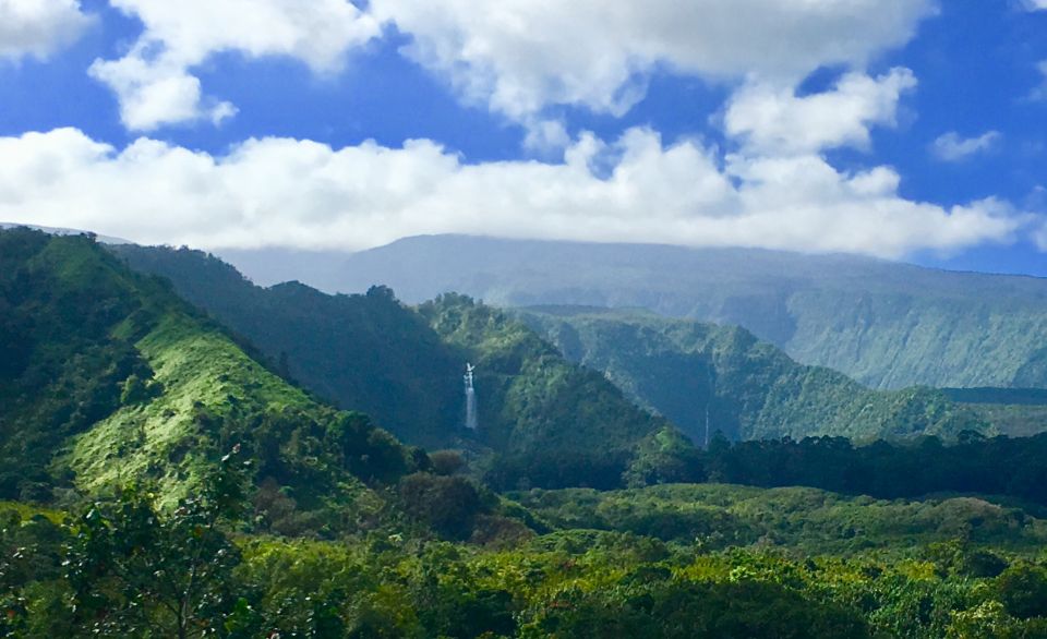 East Maui: Private Rainforest or Road to Hana Loop Tour - Traveler Reviews