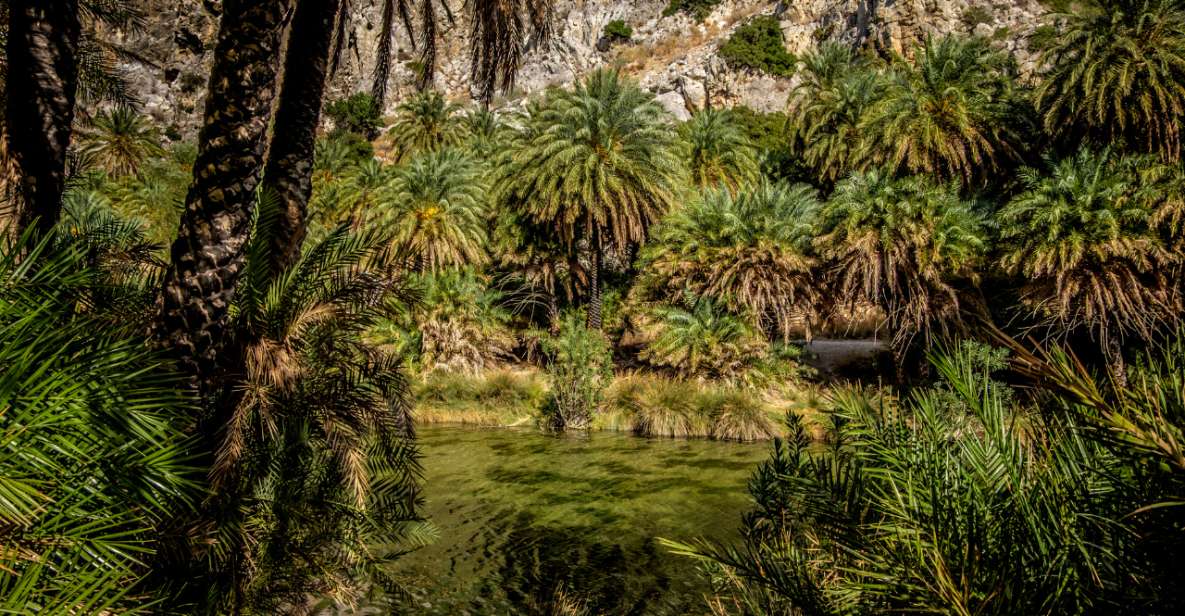 Explore Preveli Palms, Damnoni Beach & Historic Rethymno - Important Information