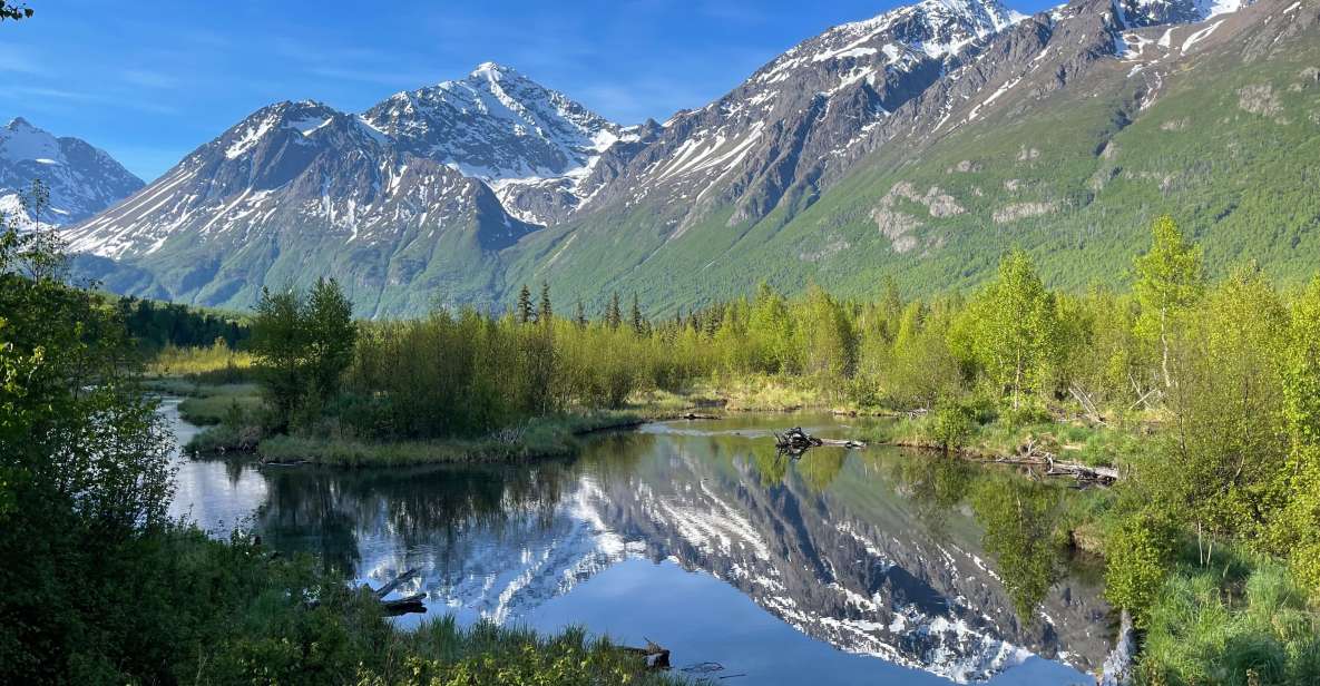 From Anchorage: Valley and Forest Hike With Naturalist Guide - Meeting Point and Logistics