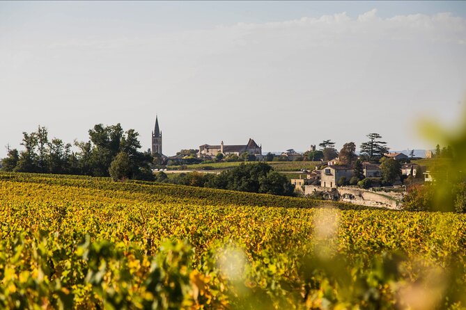 From Bordeaux: Saint-Émilion Half-Day Trip With Wine Tasting - Expert Guide Insights