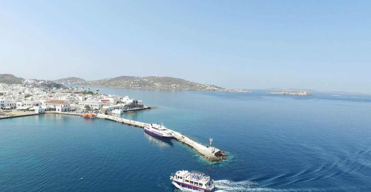 From Mykonos: Afternoon Delos Cruise & Guided Tour - Customer Reviews