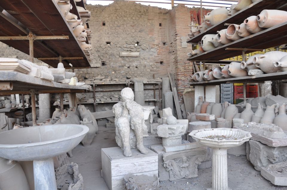 From Naples: Pompeii, Herculaneum, and Vesuvius Private Tour - Inclusions