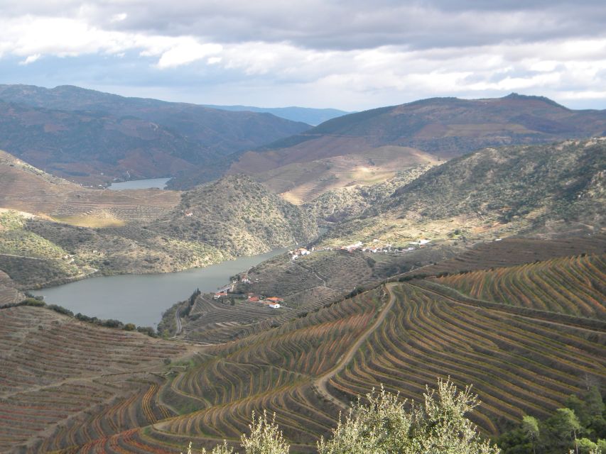 From Porto: Private Douro Valley Tour With Booking Service - Tour Description