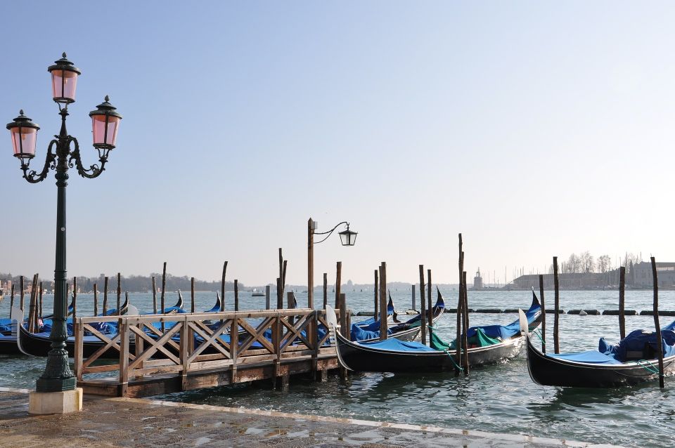 From Rome: Full-Day Small Group Tour to Venice by Train - Experience Description