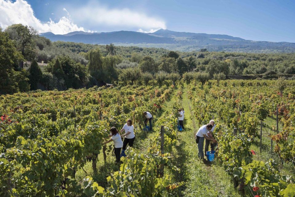 From Siracusa Day Tour To Etna Volcano, Winery and Taormina - Tour Highlights and Inclusions