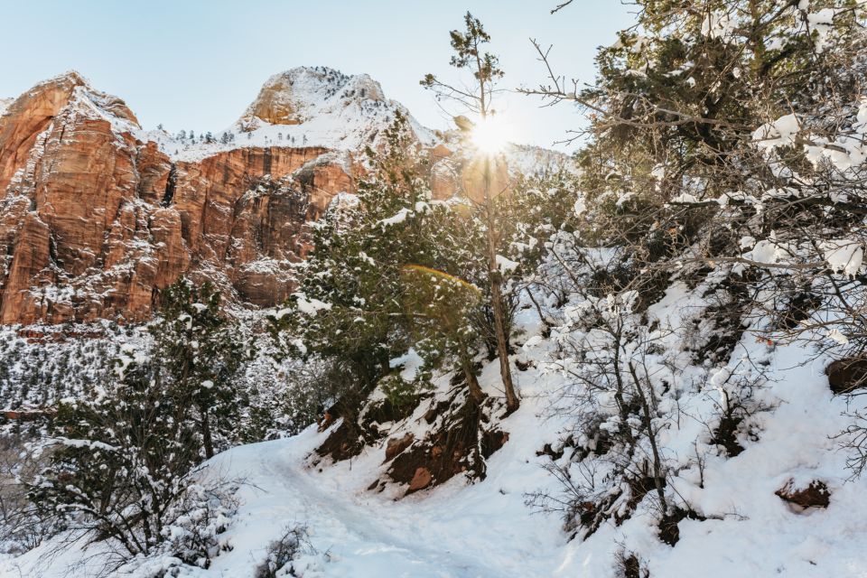 From Springdale: 4-hour Zion Canyon Scenic Hiking Tour - Preparation and What to Bring