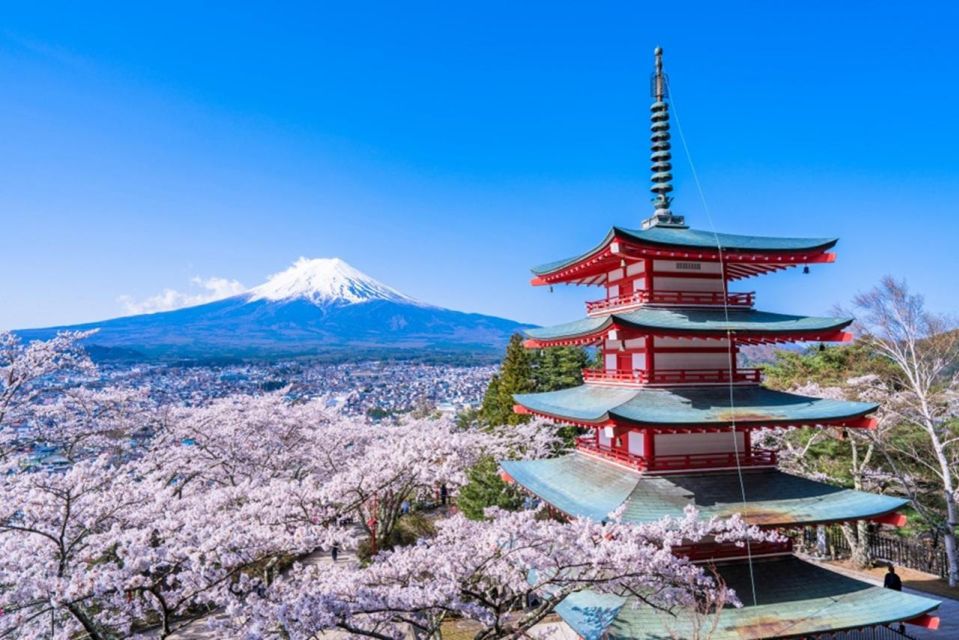 From Tokyo: Mount Fuji Day Trip With Yamanakako Hot Springs - Important Information and Guidelines