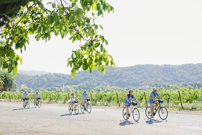 Full-Day Napa Valley E-Bike Tour - Picnic Lunch Details