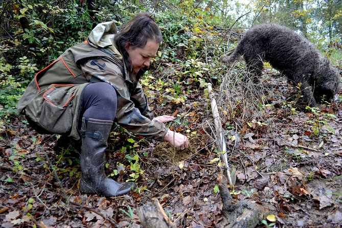 Full-Day Small-Group Truffle Hunting in Tuscany With Lunch - Customer Satisfaction