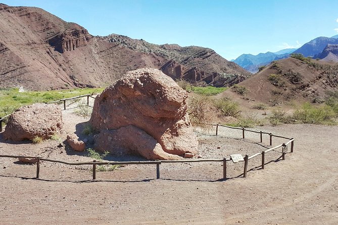 Full-Day Tour Cafayate Calchaqui Valleys With Wine - Customer Reviews and Recommendations
