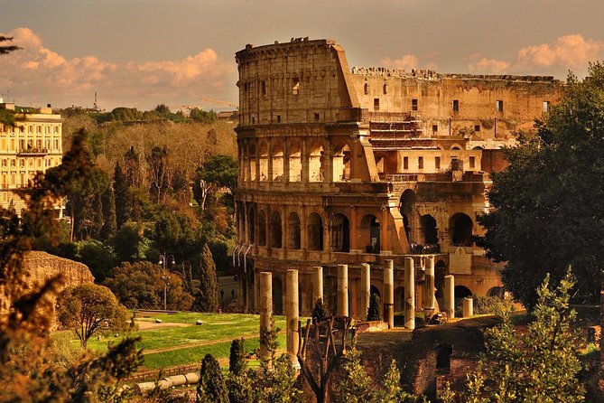 Gladiator Arena - The Colosseum, Palatine Hill & Roman Forum Tour - Visitor Experiences and Recommendations