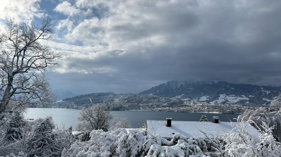 Great Walk Through Lucerne With Places of Interest - Common questions