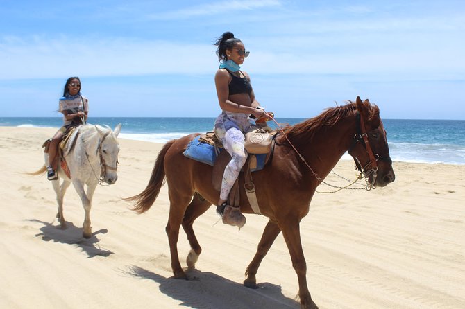 Guided Cabo Horseback Ride With Hotel Pickup  - Cabo San Lucas - Additional Information and Reviews