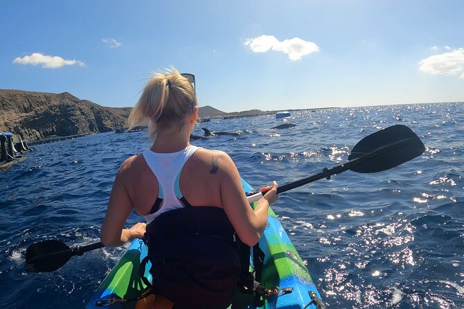 Guided Kayak Tour From Los Cristianos Beach Tenerife - Cancellation Policy and Weather