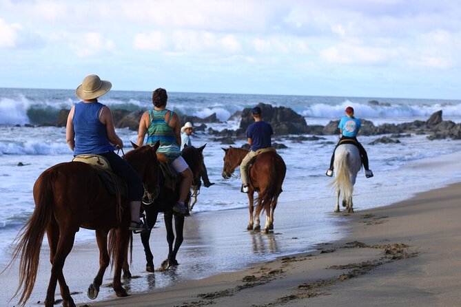 Horseback Riding in Sayulita Through Jungle Trails to the Beach - Diverse Service Offerings Available