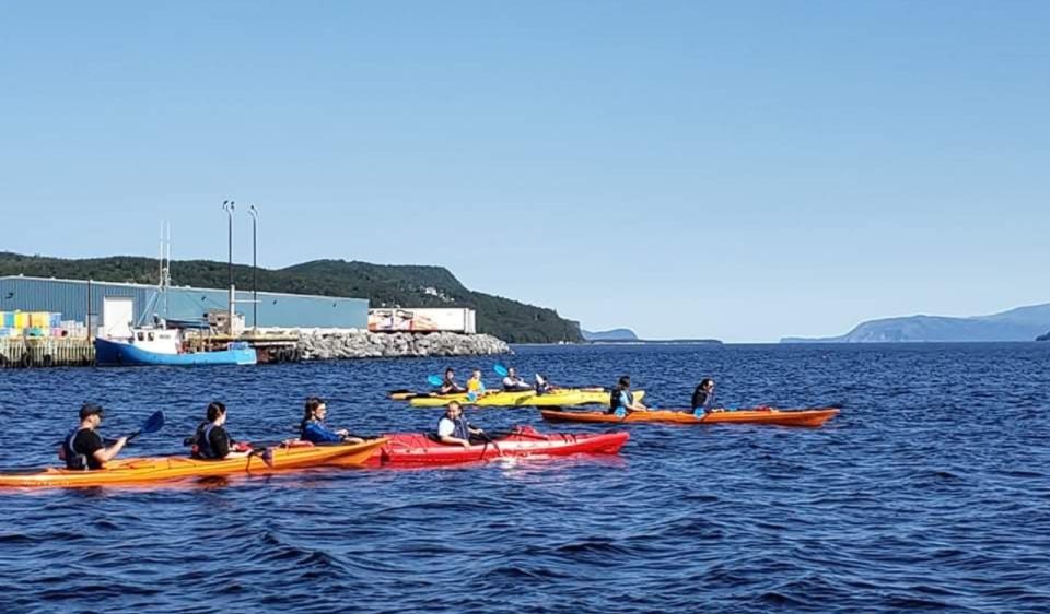 Humber Arm South: Bay of Islands Guided Kayaking Tour - Important Information