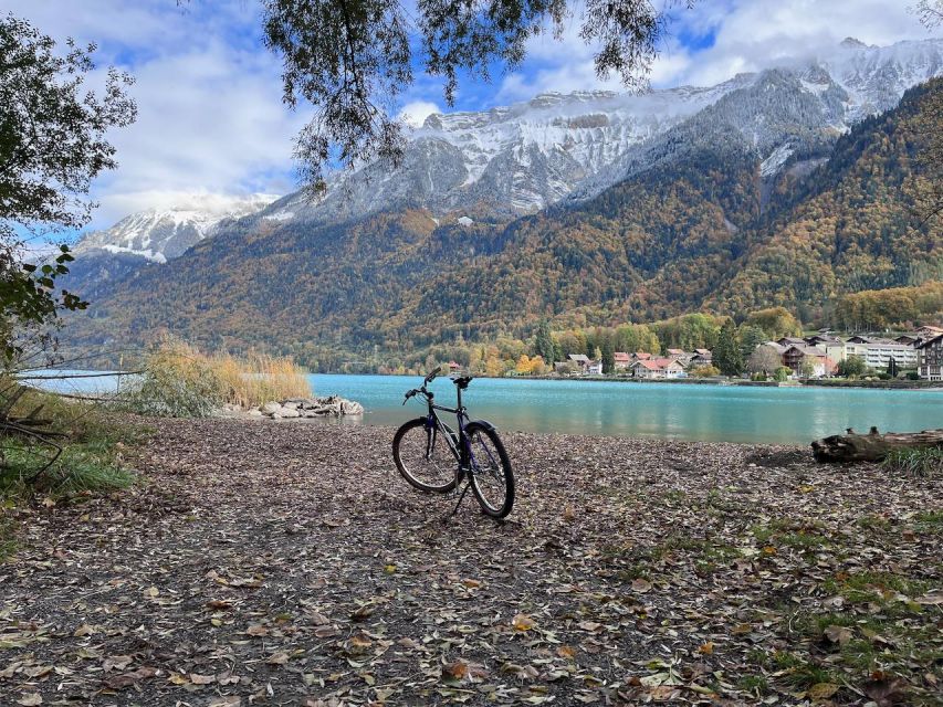 Interlaken Valley Bike Tour: Rivers, Lakes & Forests - Important Information