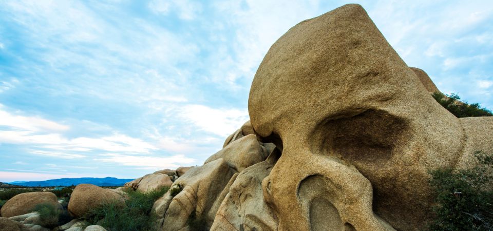 Joshua Tree National Park: Self-Guided Driving Tour - Inclusions