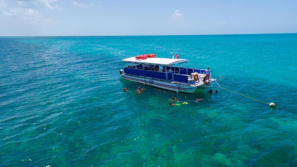 Key West Island Adventure Eco Tour - Pricing and Availability