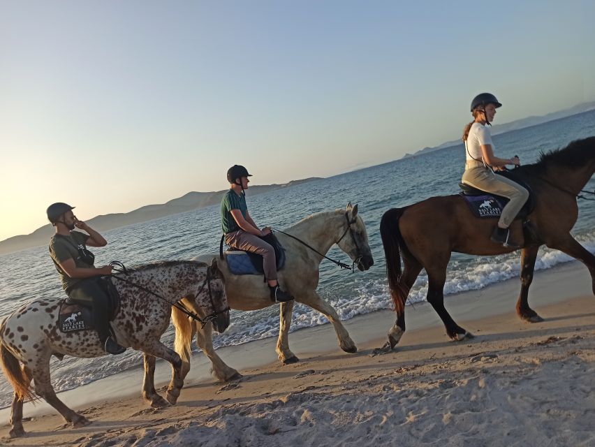 Kos: Horse Riding Experience on the Beach With Instructor - Itinerary Details