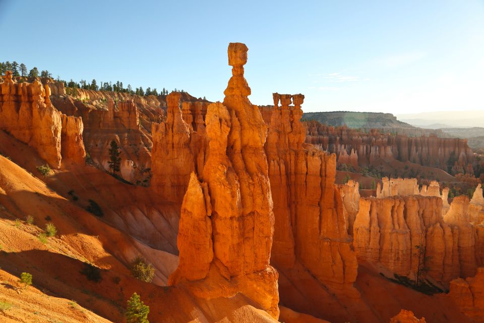 Las Vegas: Discover Bryce and Zion National Parks With Lunch - Customer Reviews