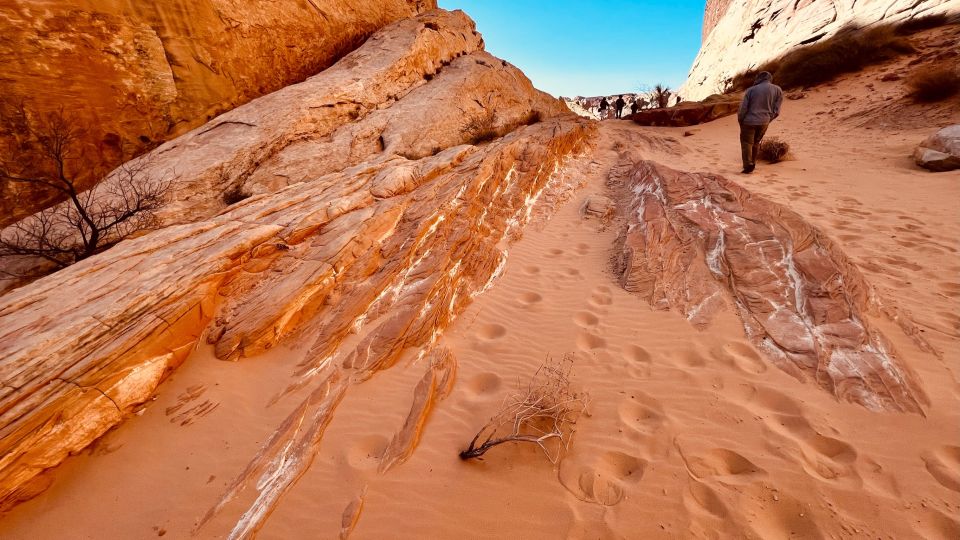 Las Vegas: Valley of Fire Scenic Tour - Booking Information