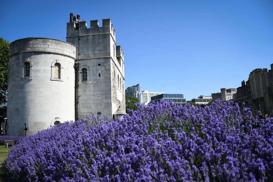 London: Top 15 Sights Walking Tour and Tower of London Entry - Tower of London