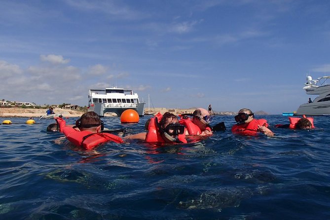 Los Cabos Reef Snorkeling Cruise With Lunch and Open Bar - Improvement Suggestions