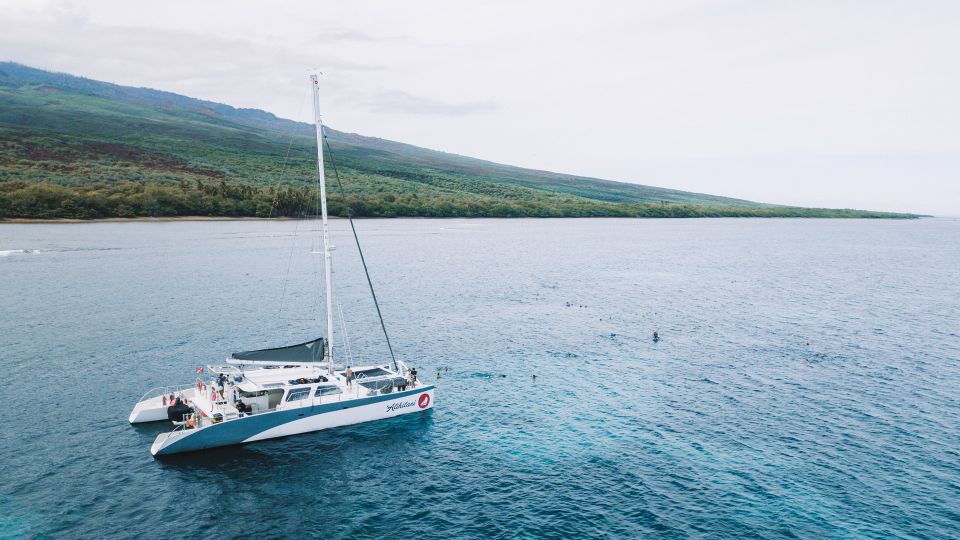 Maalaea: West Maui Snorkeling & Sailing Day Trip With Lunch - Full Description