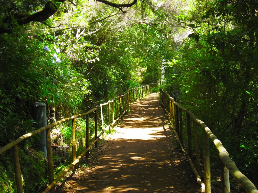 Madeira: Forest Fires, Green Cauldron and Levada Walk - Tour Highlights and Languages