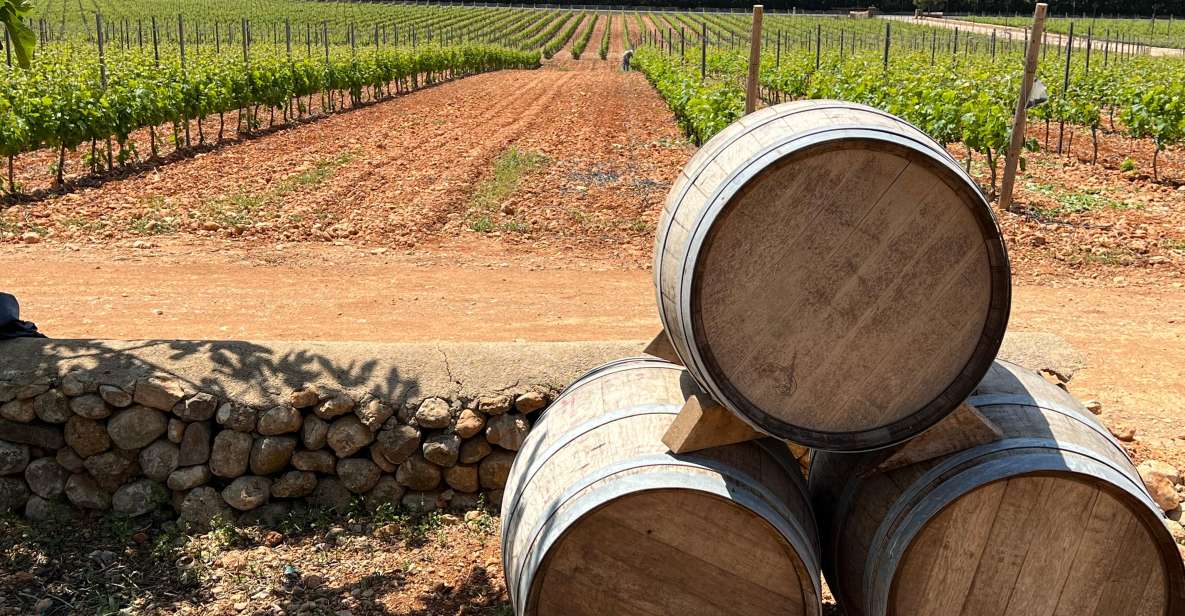 Mallorca: Discover the Secret Treasures of the Local Wine - Pickup and Drop-off Locations