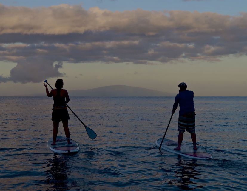 Maui: Beginner Level Private Stand-Up Paddleboard Lesson - Booking Details