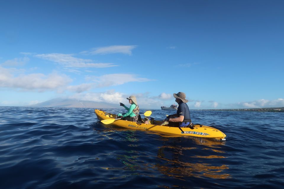 Maui: Turtle Town Kayak and Snorkel Tour - Tour Highlights
