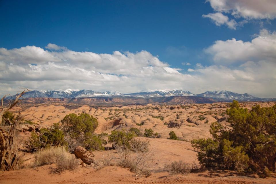 Moab: Self-Driven Guided Sunset UTV Tour to Fins N Things - Final Words