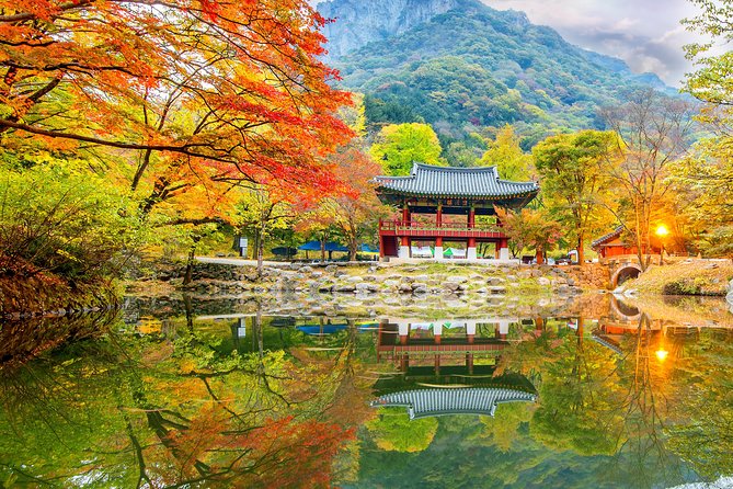 Naejangsan National Park Autumn Foliage Tour From Busan - Preparing for the Autumn Foliage Tour