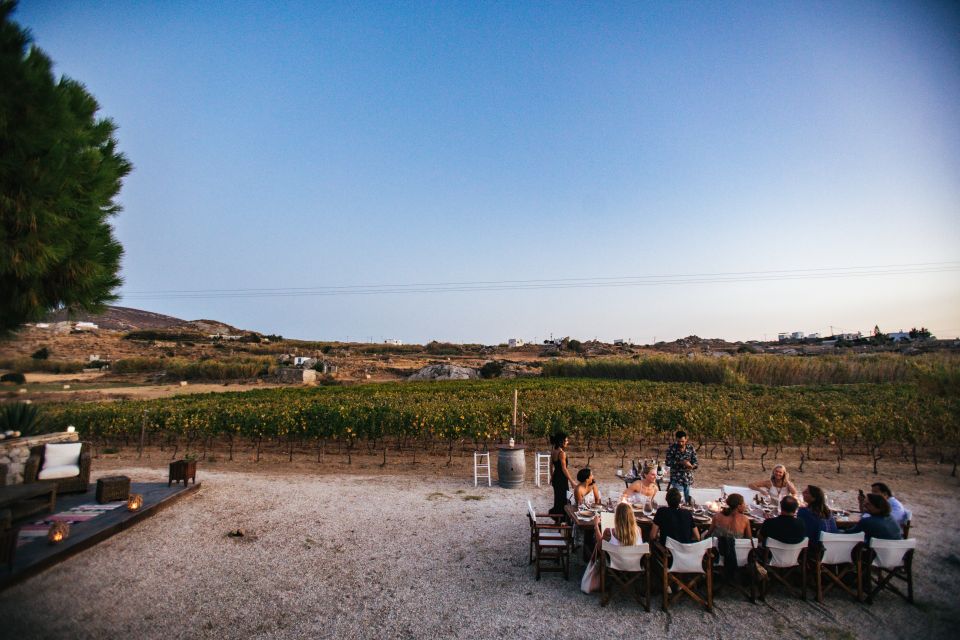 Naxos: Full Moon Dinner and Wine Tasting in a Vineyard - Inclusions