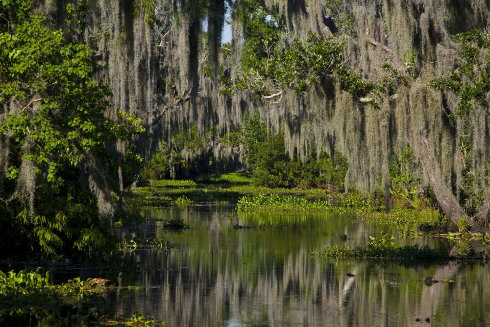 New Orleans: Discover the Surrounding Swamps by Airboat - Booking Information