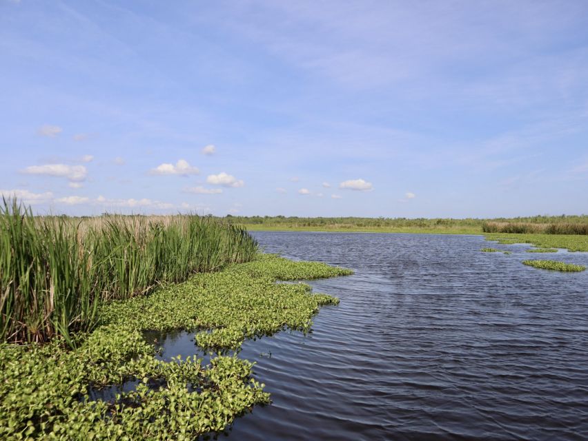 New Orleans: Oak Alley or Laura Plantation & Airboat Tour - Additional Information