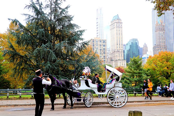 New York City: Central Park Private Horse-and-Carriage Tour - Notable Customer Experiences