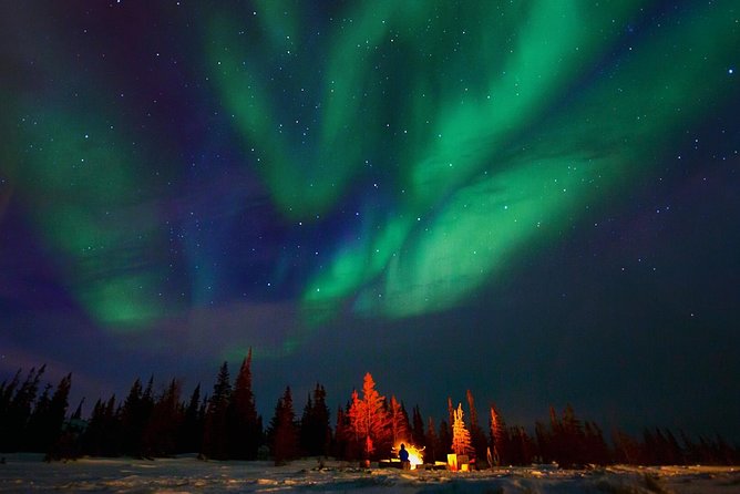 Northern Lights Winter Nights Adventure - Last Day Explorations