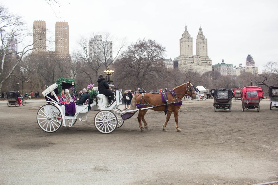 NYC: Central Park Horse-Drawn Carriage Ride With Photos - Booking Details